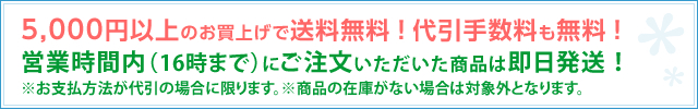 グ5,000~ȏőI萔I